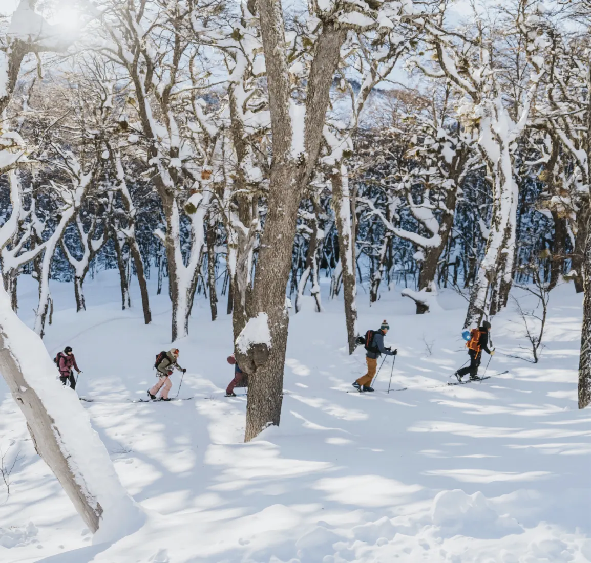 CAT-skiing Baguales
